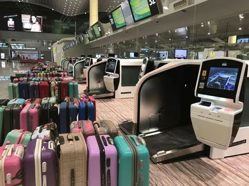 龙凤行李托运